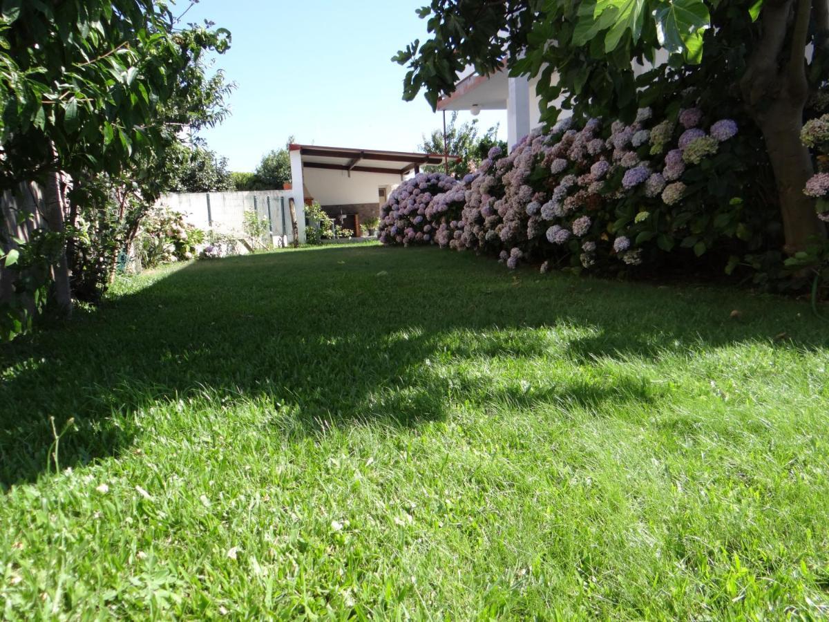 Ribeiro'S House Villa Gafanha da Nazare Luaran gambar